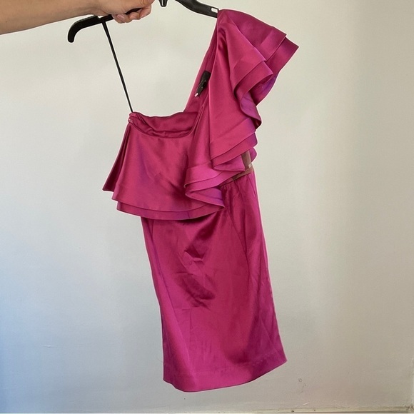 Michael Costello Revolve Pink Ruffle One Shoulder Dress - Picture 7 of 12